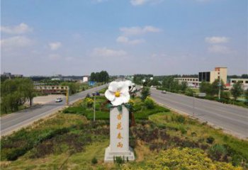 花朵景觀雕塑，美陳建筑雕塑，不銹鋼烤漆花朵雕塑廠家