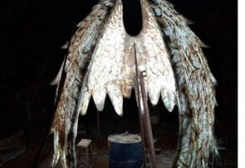 鳥(niǎo)翅雕塑供需，廣場(chǎng)雕塑，不銹鋼鳥(niǎo)翅雕塑定制